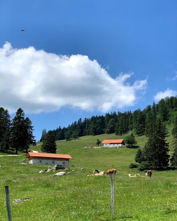 Berggasthof Staffn - Alm